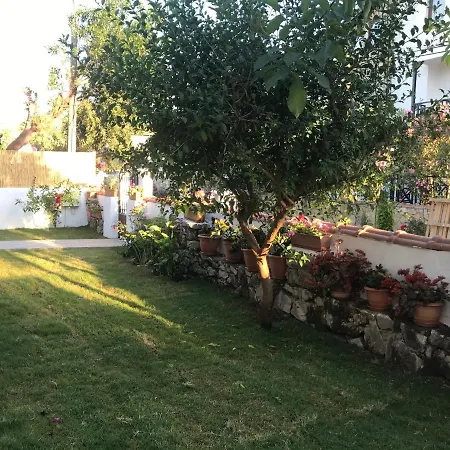 Günay Ortaca (Mugla)